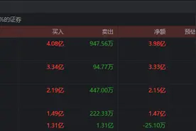今日龙虎榜风云：锂矿龙头再获顶级游资联手增持 益田路高位“站岗”跌停妖股图片
