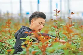 致富路上，努力从未停止（人物故事·聚焦乡村创业）图片
