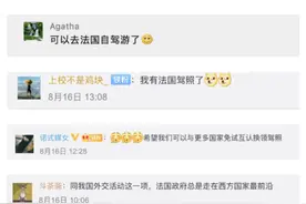 中法驾照互认，网友欢呼：到巴黎开车去看奥运会图片