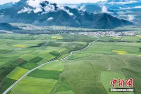 国家林草局：到2035年建成以国家公园为主体自然保护地体系图片