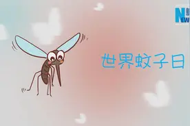 世界蚊子日|别让蚊子“叮”上你视频封面