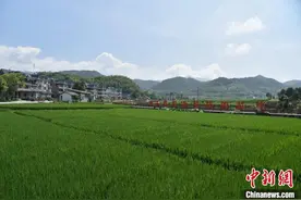 浙江遂昌跨越式发展启示录：数字化改革求解山区县出路图片