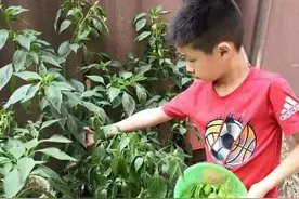 交作业啦！来看这些孩子们的劳动运动打卡图片