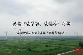 探索“碳中和、碳达峰”, 庆云打造山东首个县级“纯绿色电网”图片