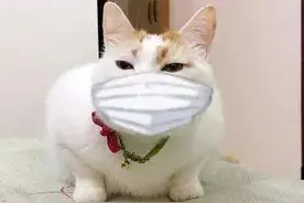 口罩+眼镜=一秒起雾？清华团队研发的眼镜擦布了解一下图片