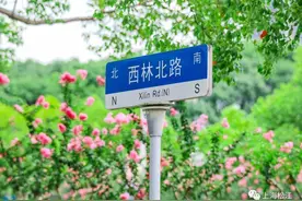 独占夏景斗芳菲！松江的街头，它的美你注意到了吗？图片