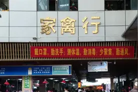 中元节你买鸭鸭了吗？怎么挑选肥美的青头鸭，养鸭人教你诀窍图片