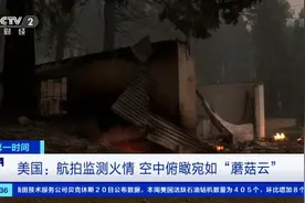 过火面积超9700平方公里！美国航拍监测火情，空中俯瞰宛如“蘑菇云”图片