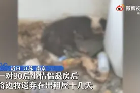 南京情侣退房后把宠物狗遗弃出租屋，浑身屎尿皮肤生蛆，救助人士：太惨了图片