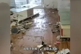 90后情侣将边牧犬遗弃在出租屋十几天！爱心人士：它浑身屎尿毛里生蛆图片