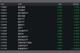 医疗板块遭“血洗”，机构资金疯狂出逃，有何大利空？60亿资金却悄悄抄底图片