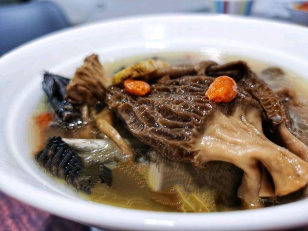 瑶柱花胶羊肚菌煲鸡 2026年羊肚菌花胶瑶柱炖鸡好处