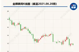 刹车配件厂商金麒麟上半年亏损近4000万：行业回暖未带动营收，汇率变化拖累业绩图片