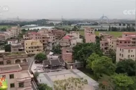 广东佛山：桃源乡繁花似锦 古村落生机勃勃图片