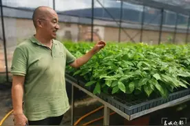 收获国内最大规模订单！昆明这里的菌种卖遍云贵川图片