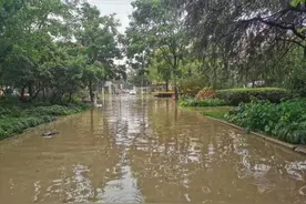 上海部分地区今迎强降水，杨浦积水路段临时禁止机动车通行，不少车牌“落水”图片