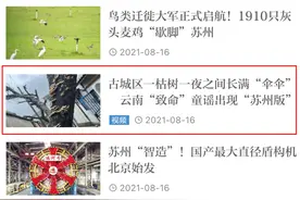 姑苏区枯树长出了“红舌头”！是菜？是毒？我们去破了一个案图片
