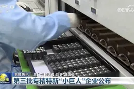 “小巨人”登上联播，什么来头？图片