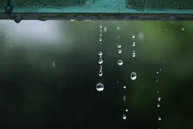 周到晨报 | 申城本周闷湿天气继续，周末高温；开学在即，公交强化防疫消毒；老字号猪油豆沙月饼重出江湖……图片