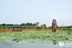 淮南市大通区：有效推进重点项目 筑牢高质量发展根基图片