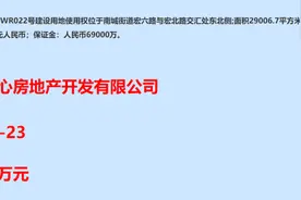 总投资约30亿元！东莞香港中心项目来了！图片