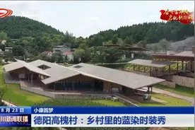 四川新闻联播 | 德阳高槐村：乡村里的蓝染时装秀图片