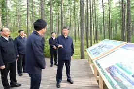 习近平：发扬塞罕坝精神，在新征程上再建功立业图片