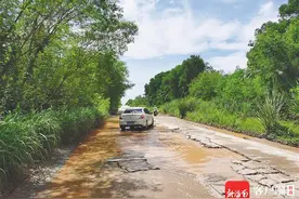 路面坑洼，千余名村民出行困难 琼海一乡道严重破损 五六年不修复图片