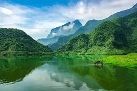 绿色崛起山水间 美丽发展金口河图片