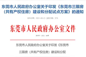 5折就可以“买房”？东莞放大招图片