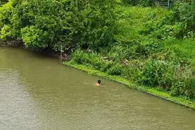 社死现场！上海一男子下河摸鱼，被围观后死活不肯上岸：泳裤脱落了图片