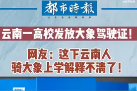 云南一高校给新生发大象驾驶证：不能骑，只是文创产品图片