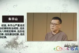 教育厅副厅长花110万买车后，为何要弄掉车标偷偷开？图片