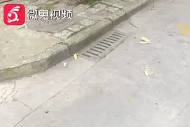 一下出现5只猴儿！贵阳一小区猴群出没，翻墙抢东西掰玉米……图片