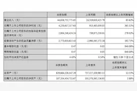 “地王收割机”招商蛇口，为保前十放弃毛利率图片