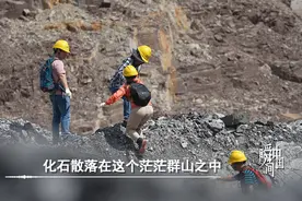 这个“盲盒”拆出了6亿岁“海绵宝宝”图片