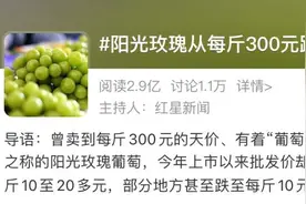 从每斤300块跌到每斤不足15块，曾被称作葡萄中的爱马仕，如今光环不再？图片
