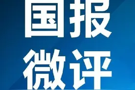 法律面前没有明星图片