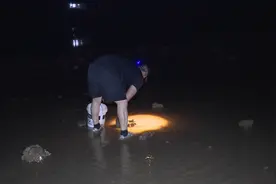 分分钟就能挖到“宝藏”快来青岛体验凌晨赶海的乐趣图片