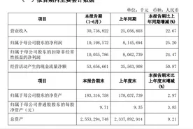 江苏银行上半年净利润增长25%，不良率降至1.16%图片