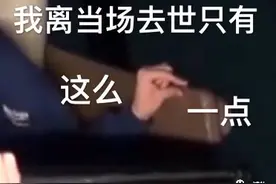 别吃了，你的咖啡和巧克力里都有蟑螂图片