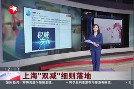 上海“双减”细则落地：全面规范校外培训行为视频封面