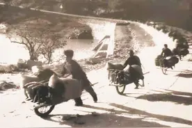 寻踪烟台：老贾小推车图片