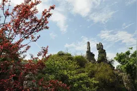 百城行丨华蓥市政协委员邱海鹰：赓红续绿照“亮”华蓥山图片