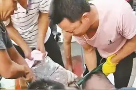 渔民开渔第一天出海捕到189斤大石斑 卖出上万块图片