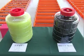 页岩油长什么样？看大庆如何从石头缝里“挤”石油图片