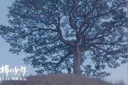 《棒！少年》一年后 那些孩子都怎么样了？图片