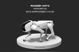 观察丨从两万元的机器狗到逼真的虚拟人，“赛博空间”来了？图片