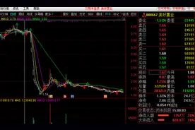 退市危机！美好置业半年报“不美好”：房地产收入减少、新业务反成拖累图片