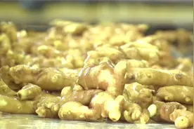潍坊安丘：强化农产品监管 打造食品农产品质量安全示范区图片